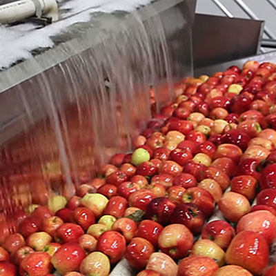 Prehrambena industrija